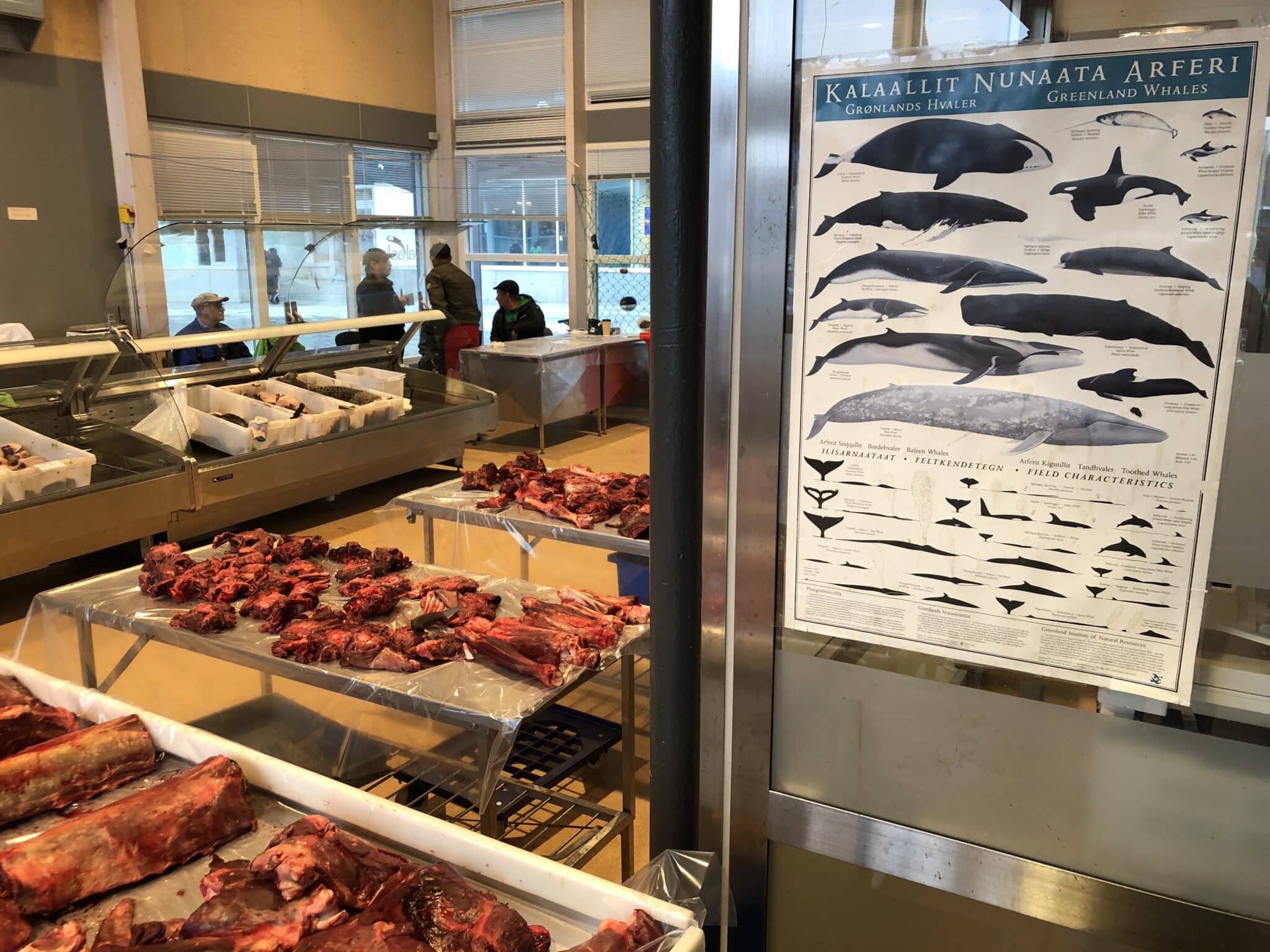 Fish market in Nuuk, tasty and fresh! Guide to Greenland