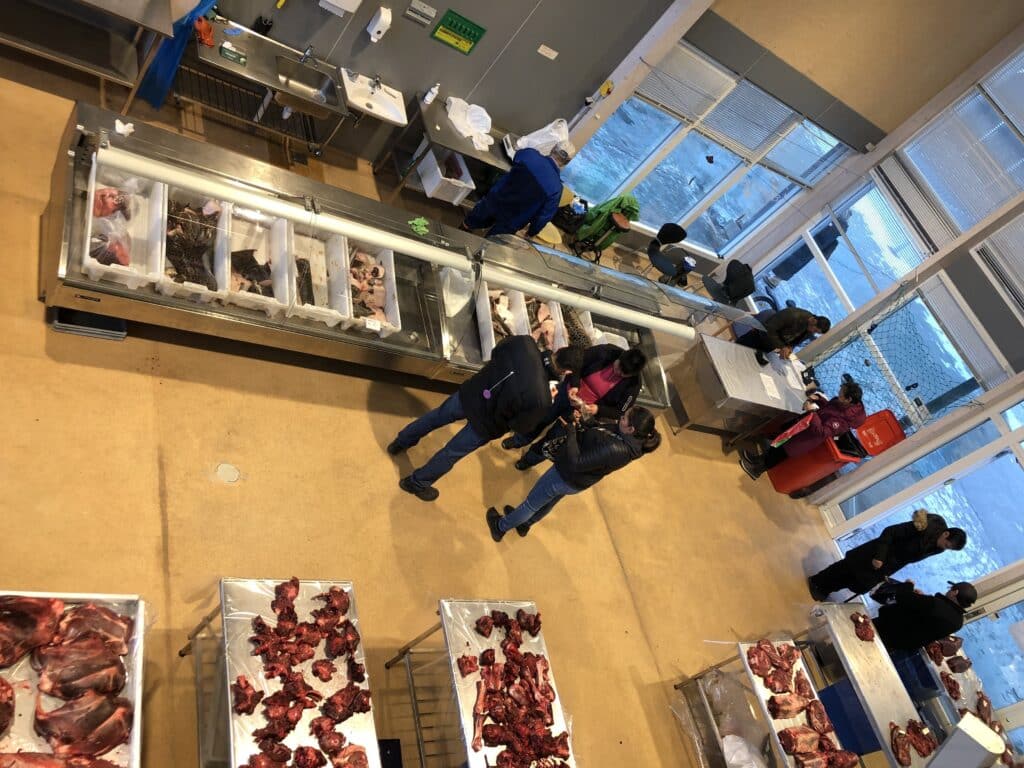 Fishmarket in Nuuk seen from above