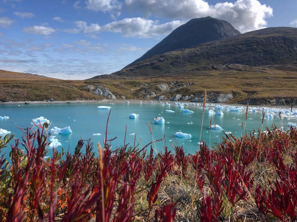 Flowery Nuuk | Guide to Greenland