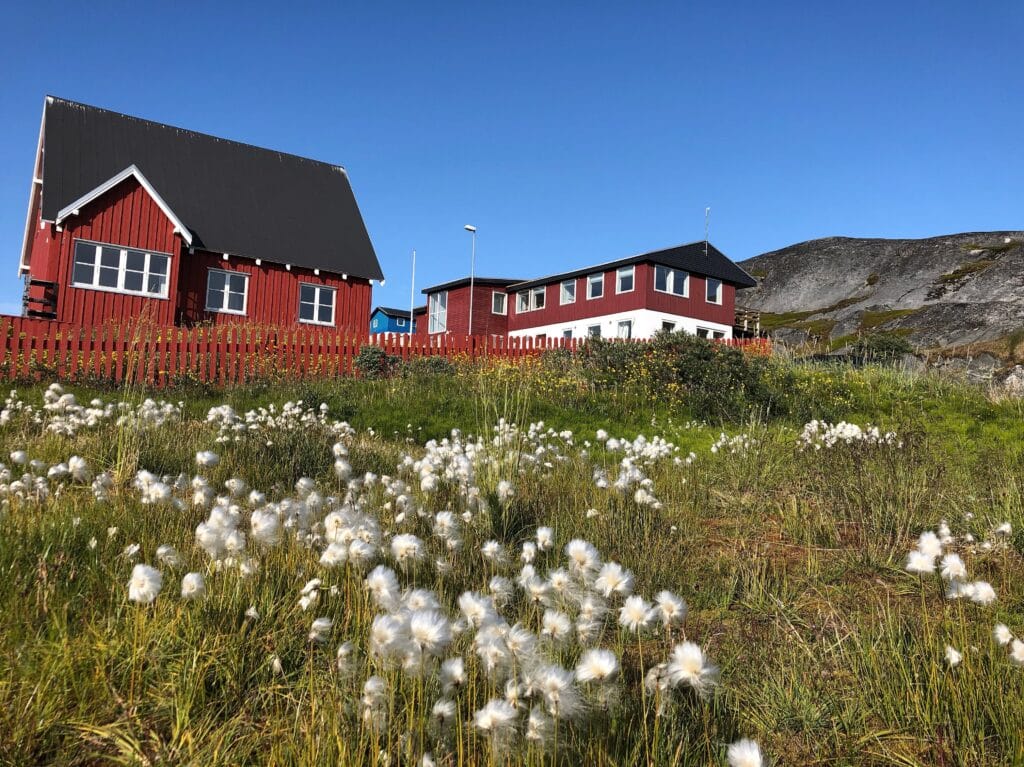 Flowery Nuuk Guide to Greenland