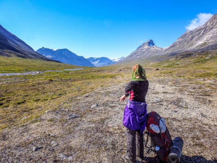 Everything you wanted to know about Greenland Mosquitoes | Guide to ...