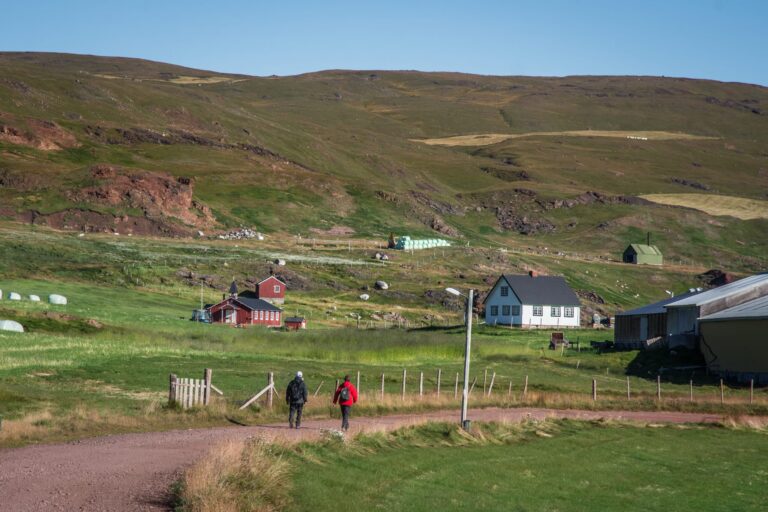 Walk in Qassiarsuk, Brattahlid, South Greenland in summer