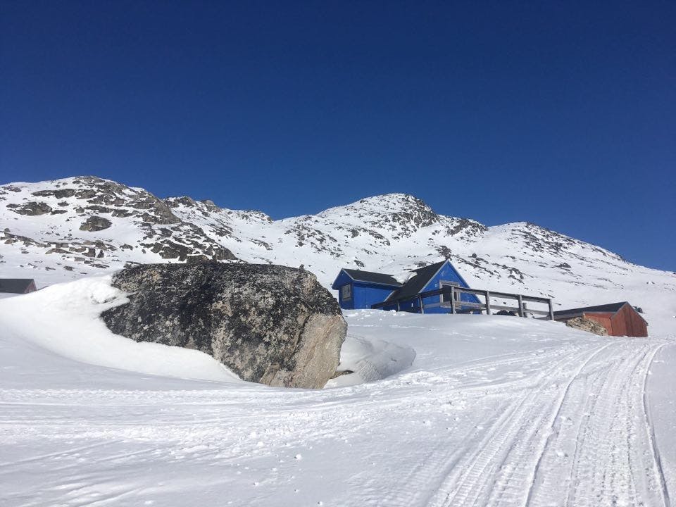 Blue hut surrounded by snow