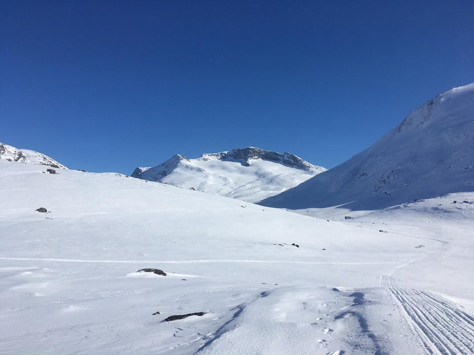 Huge amounts of snow