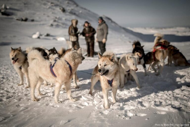 Multi-day Dogsledding from Tasiilaq | East Greenland - Image 9