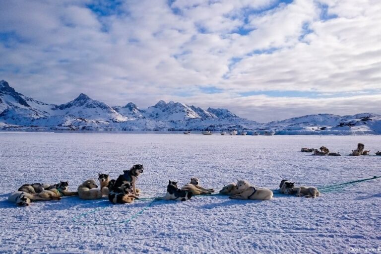 Multi-day Dogsledding from Tasiilaq | East Greenland - Image 16
