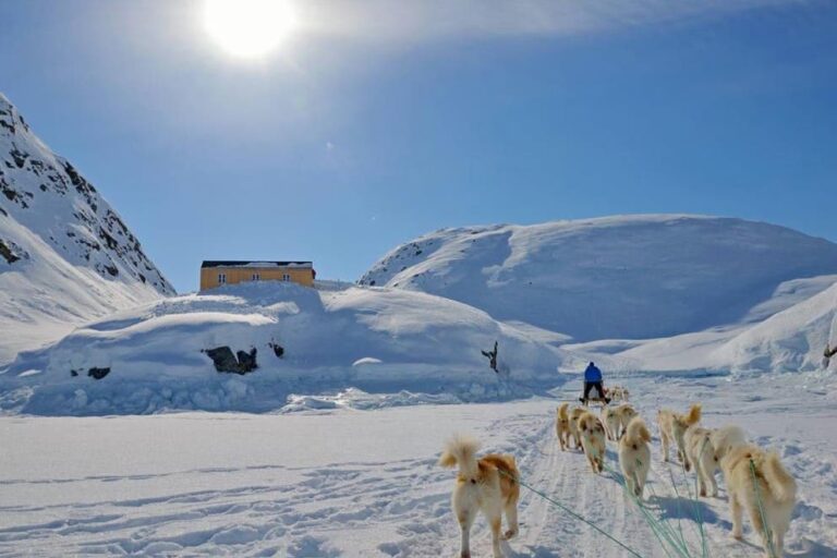 Multi-day Dogsledding from Tasiilaq | East Greenland - Image 23