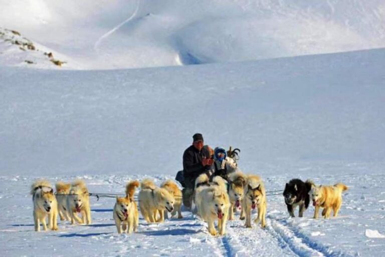 Multi-day Dogsledding from Tasiilaq | East Greenland - Image 6