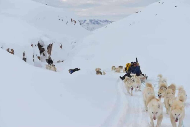 Multi-day Dogsledding from Tasiilaq | East Greenland - Image 7