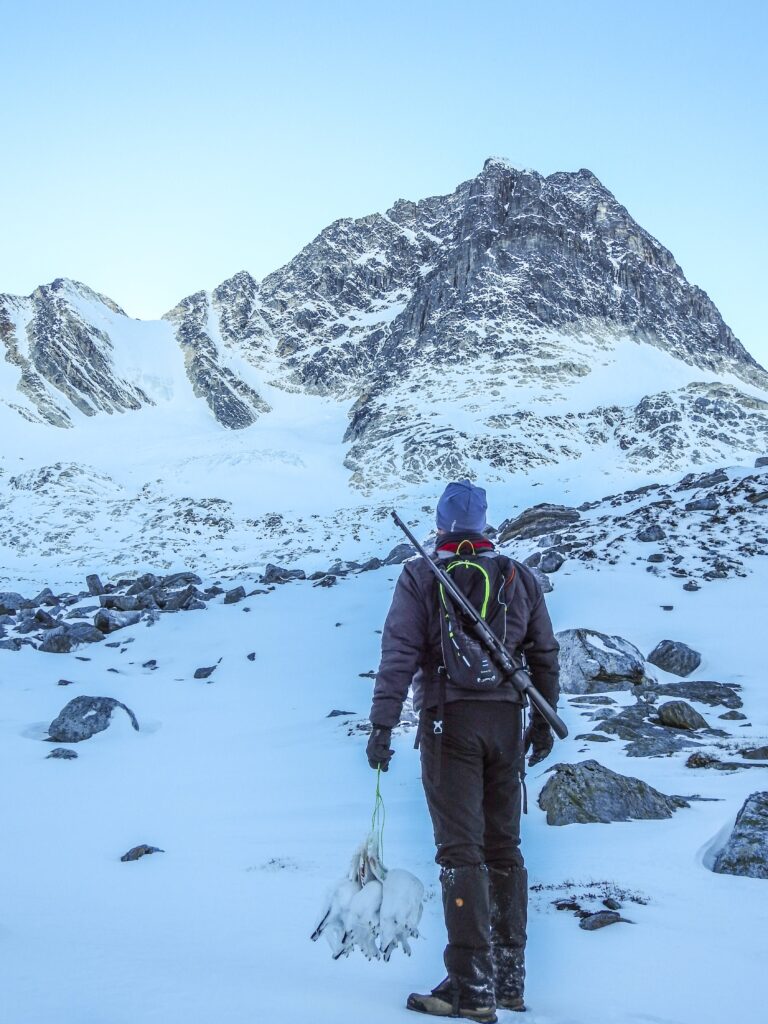 Man with a riffle looking towards a snowy mountain