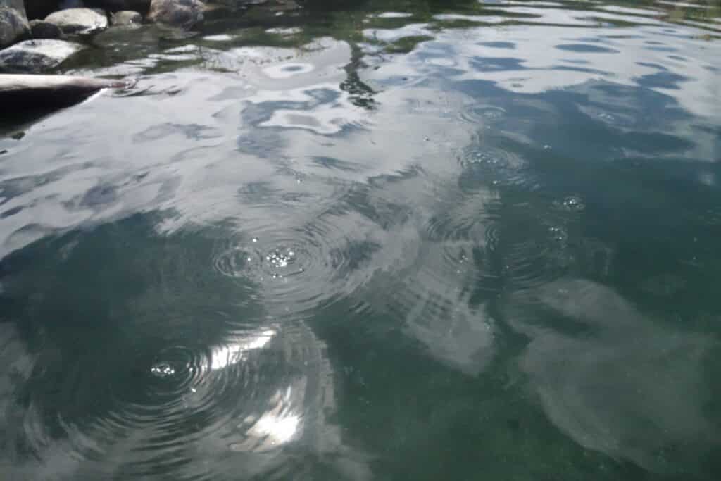Hot spring