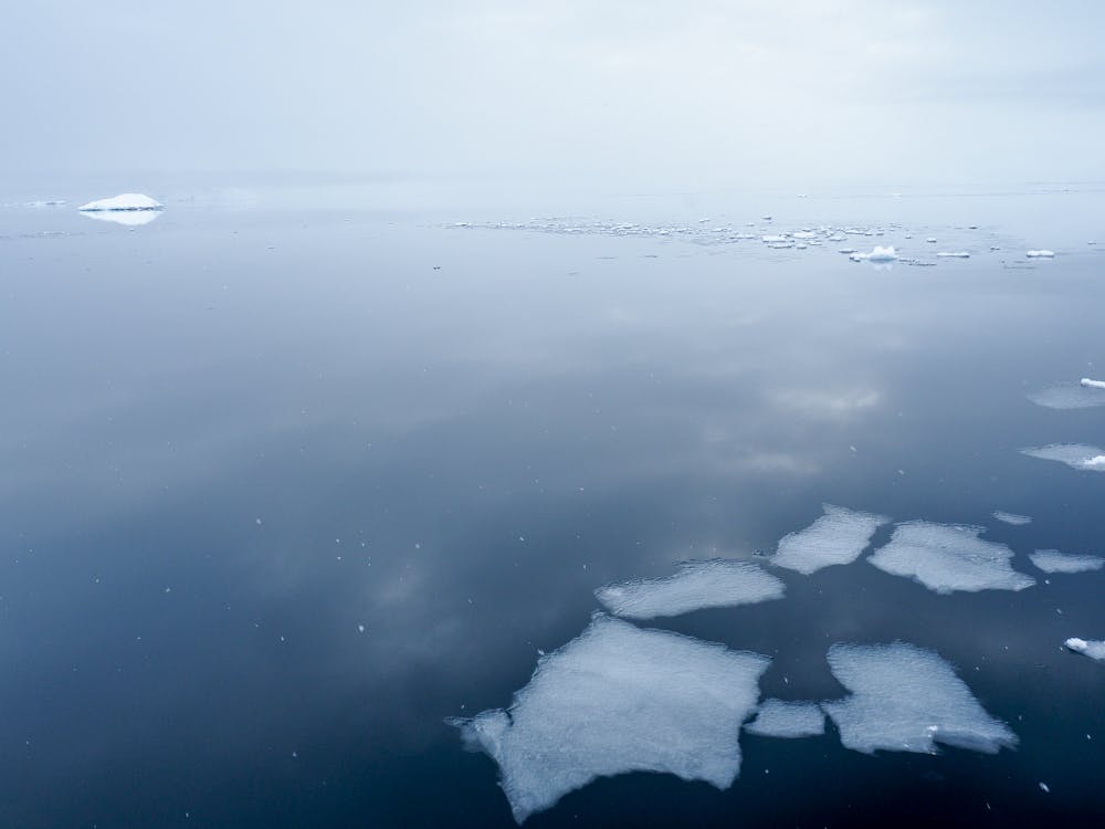 Small chunks of ice in the water