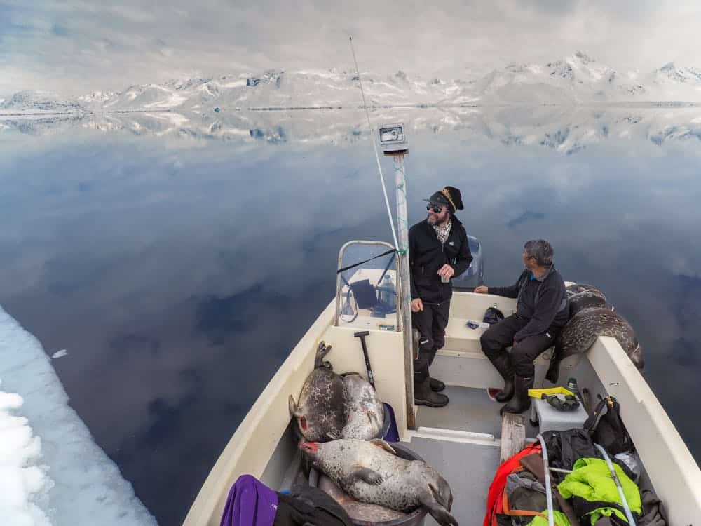 Two men on a boat with a lot of dead seals