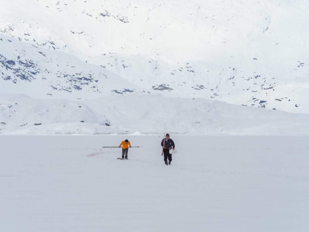 Two hunters successfully carry home three fat seals