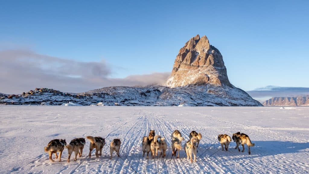 Dog sledding across the frozen sea ice is a common form of winter transportation in North Greenland