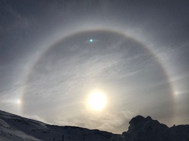 are sun dogs rare