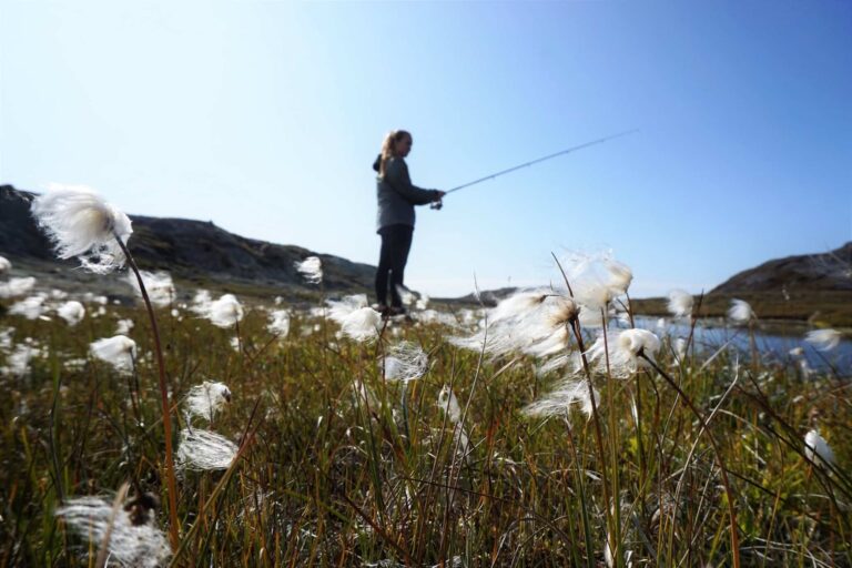 Sleep in the wilderness | Nuuk - Image 4