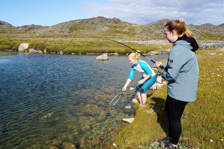 Sleep in the wilderness | Nuuk - Image 8