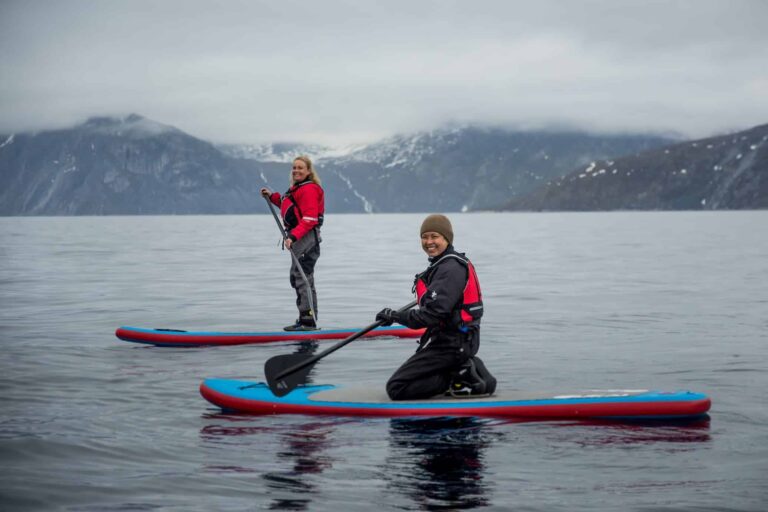 Stand up paddleboard with Whales or by Sermitsiaq waterfall | Nuuk - Image 4