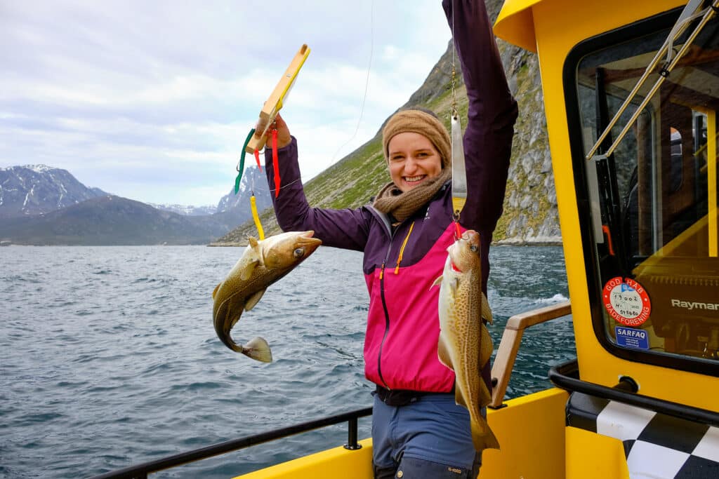 travel books on greenland