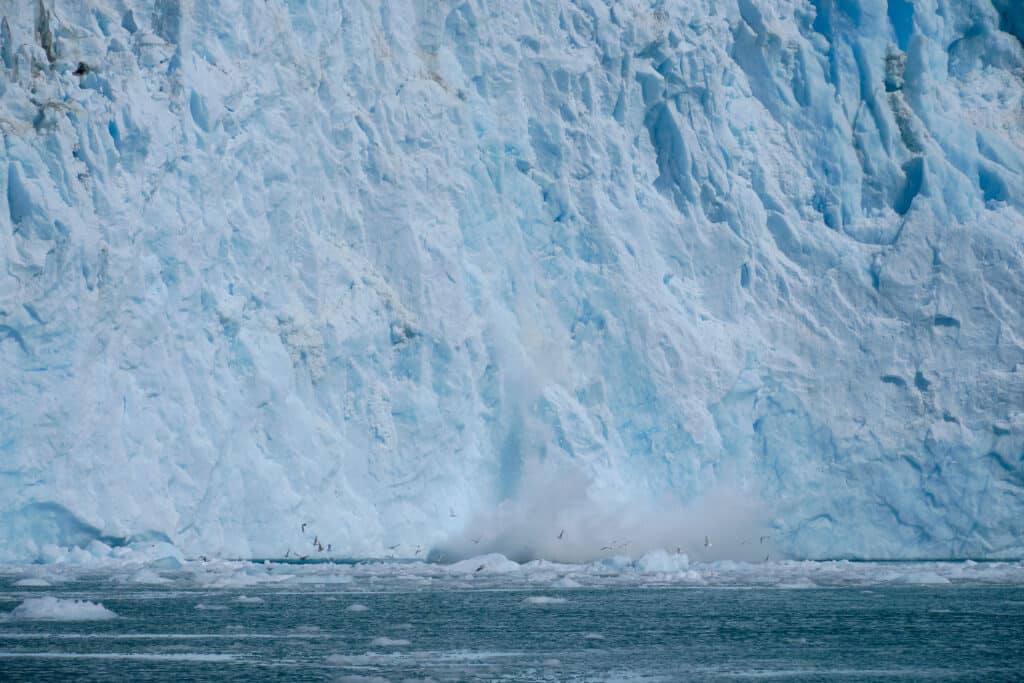Birds stirred up by a calving event at a glacier in the Eternity Fjord near maniitsoq