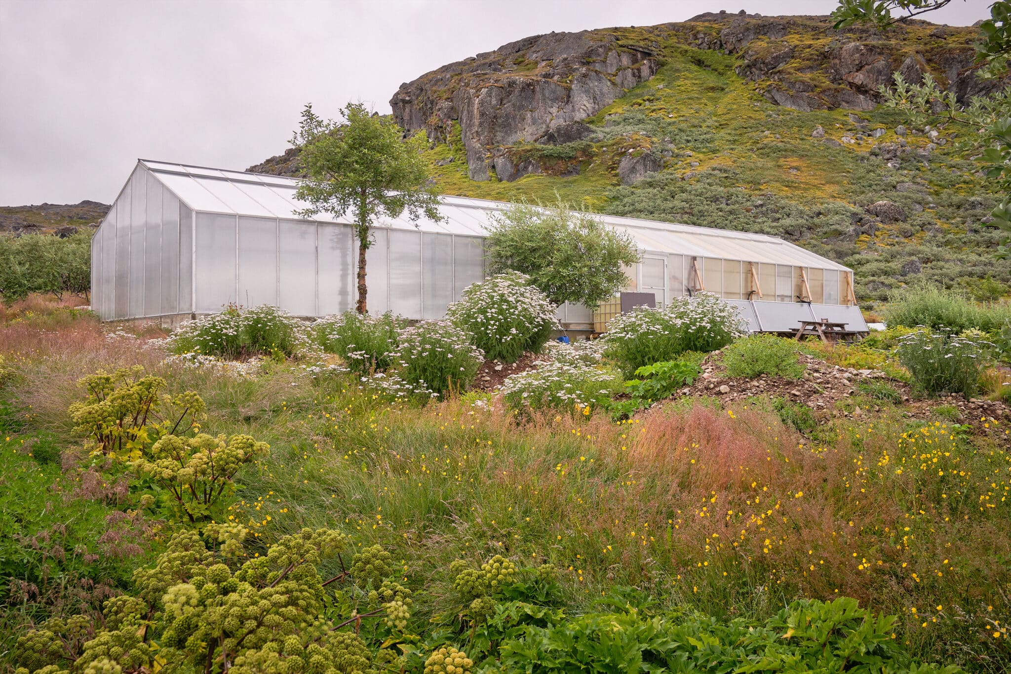 Upernaviarsuk Research Station South Greenland Guide to Greenland