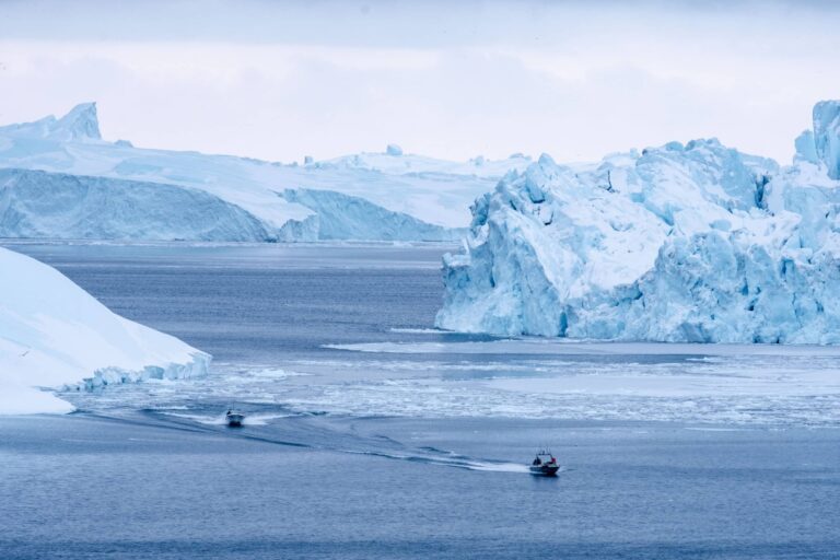 Greenlandic Tapas On the Icefjord | Ilulissat | Disko Bay - Image 2