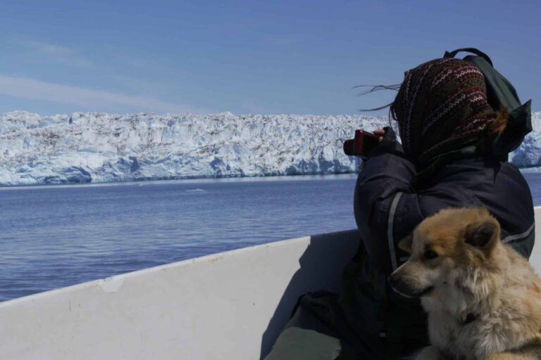 Experience Life on a Reindeer Station | 7 days | South Greenland - Image 9