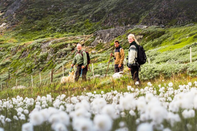 Experience Life on a Reindeer Station | 7 days | South Greenland - Image 8