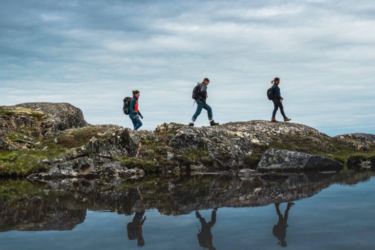 Experience Life on a Reindeer Station | 7 days | South Greenland - Image 12