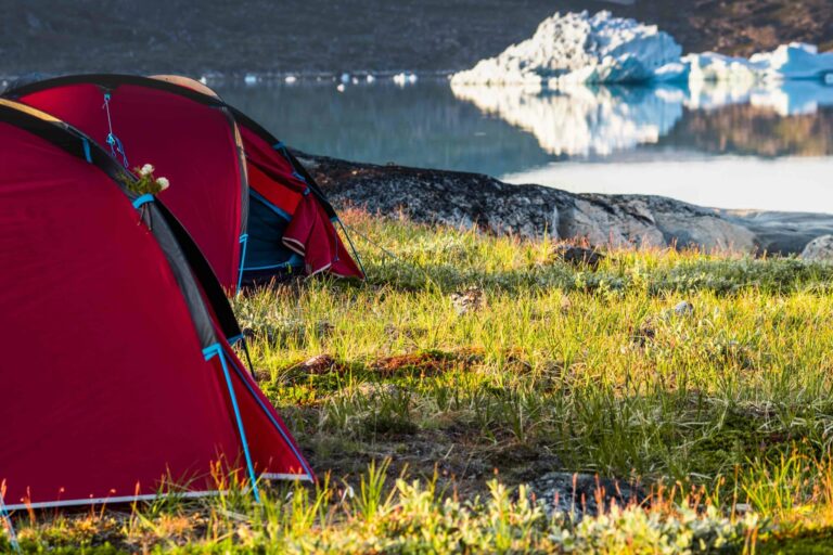Experience Life on a Reindeer Station | 7 days | South Greenland - Image 5