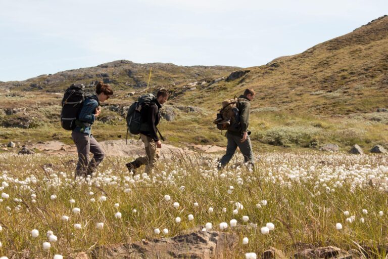 Experience Life on a Reindeer Station | 7 days | South Greenland - Image 14