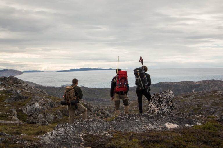 Experience Life on a Reindeer Station | 7 days | South Greenland - Image 15