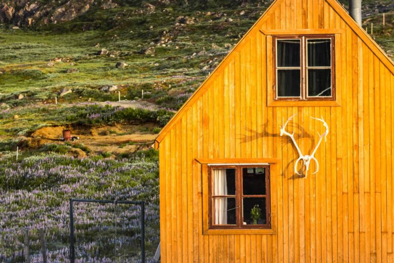 Experience Life on a Reindeer Station | 7 days | South Greenland - Image 7