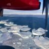 Landing in Ilulissat, icebergs from above