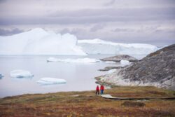 Iceberg & Icefjord Tours