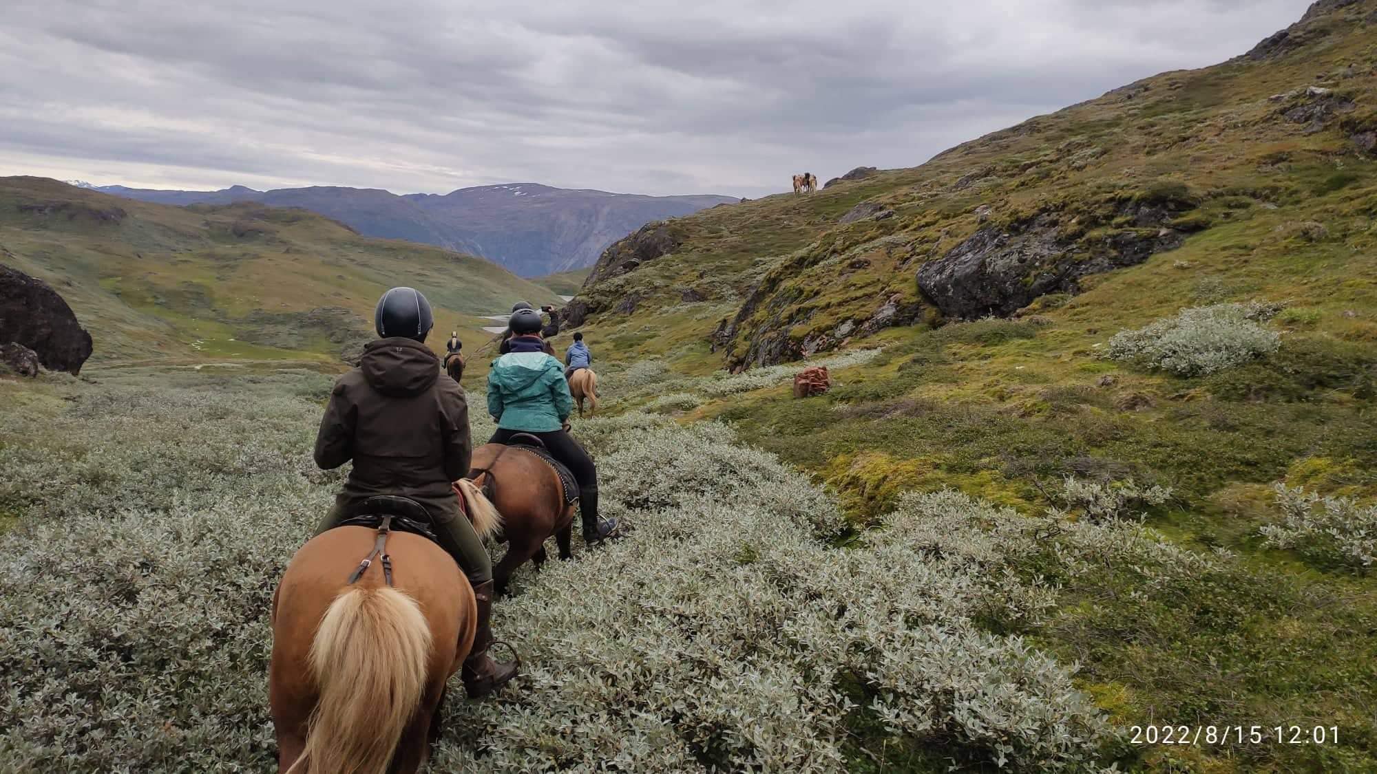 8-day Iceberg Horse Riding Tour | South Greenland