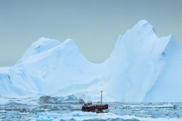 Greenlandic Tapas On the Icefjord | Ilulissat | Disko Bay - Image 6