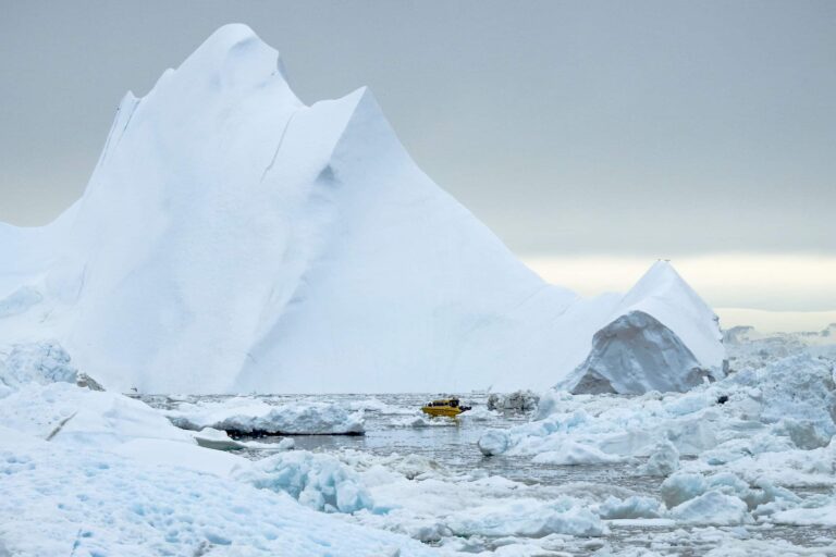 Greenlandic Tapas On the Icefjord | Ilulissat | Disko Bay - Image 4