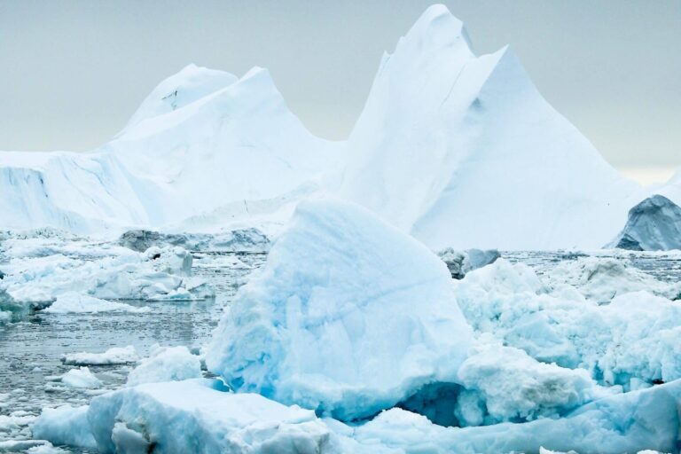 Greenlandic Tapas On the Icefjord | Ilulissat | Disko Bay - Image 5