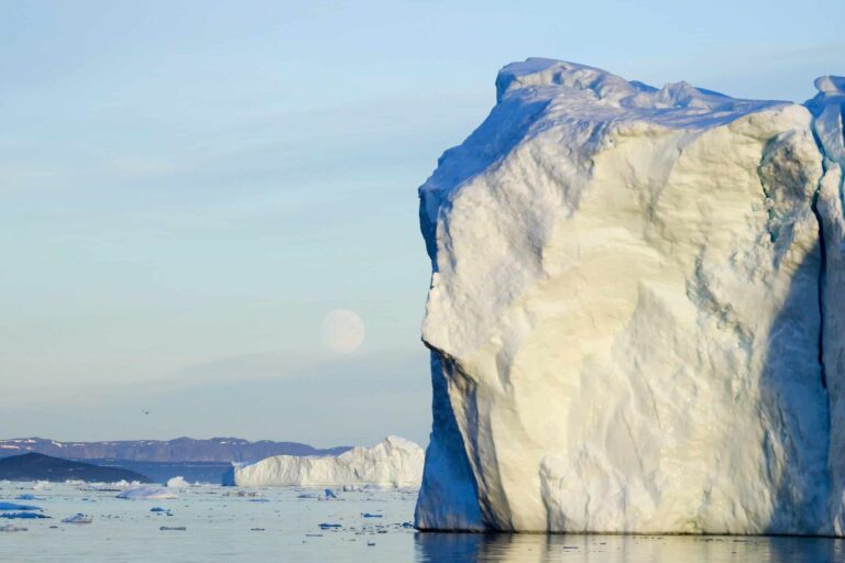 Greenlandic Tapas On the Icefjord | Ilulissat | Disko Bay - Image 7