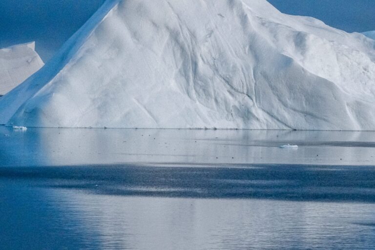 Greenlandic Tapas On the Icefjord | Ilulissat | Disko Bay - Image 3