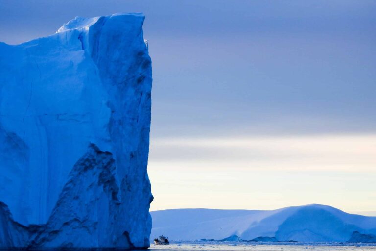 Greenlandic Tapas On the Icefjord | Ilulissat | Disko Bay - Image 8