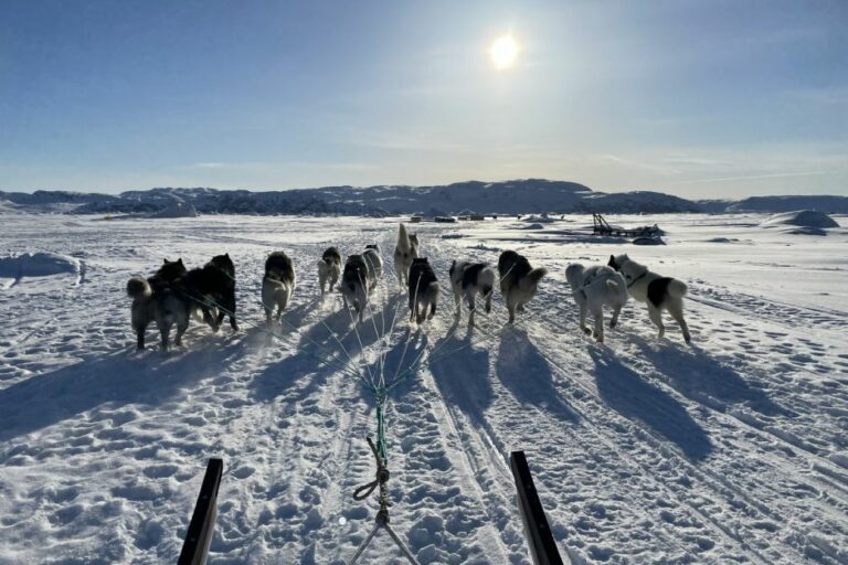 Ice fishing with local fisherman at UNESCO heritage site | Ilulissat - Image 4