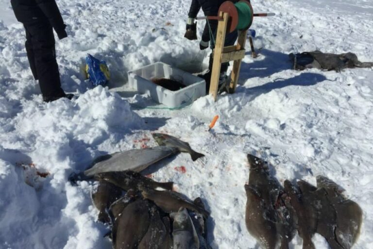 Ice fishing with local fisherman at UNESCO heritage site | Ilulissat - Image 5