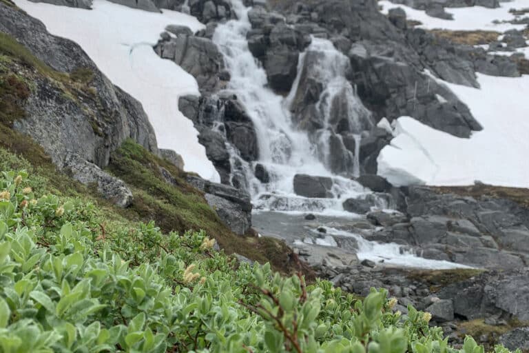 Hiking tour around Quassussuaq  | Nuuk - Image 4