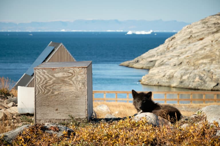 8 Days of Autumn Wonders – Northern Lights and Icebergs | Nuuk & Ilulissat - Image 4