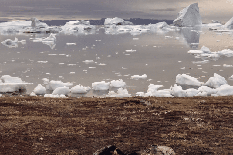 7-Day Exclusive Luxury Escape: A Premier Greenland Adventure