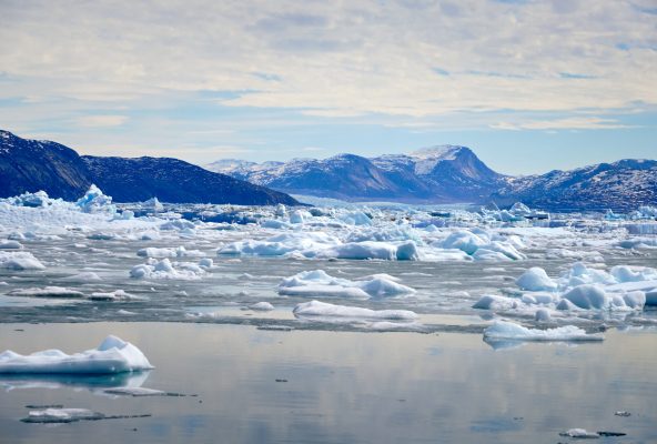 Ice and glacier near the start of the Nuuk Icefjord on a boat tour – summer – Guide to Greenland Ice and a massive glacier near the start of the Nuuk Icefjord on a boat tour with Guide to Greenland