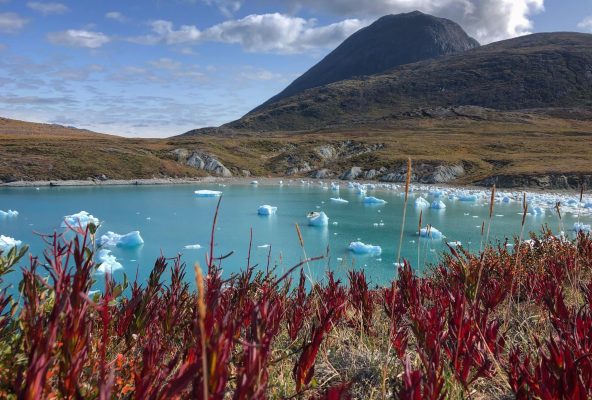 Icebergs – mountains of ice and wonder – Guide to Greenland12 Icebergs - mountains of ice and wonder - Guide to Greenland12